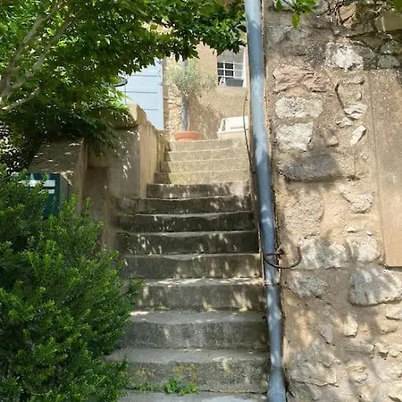 Apartment Avec Petit Jardin *
